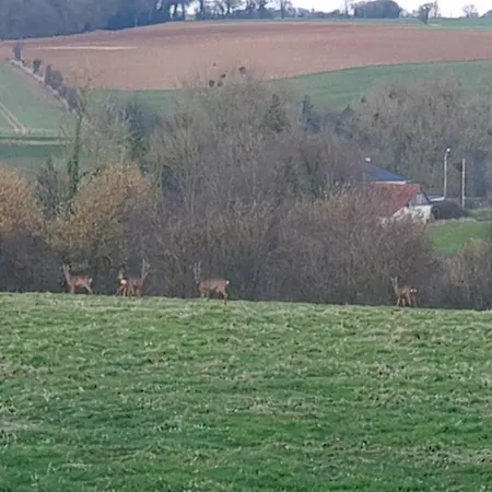 L'impasse De La Colline *